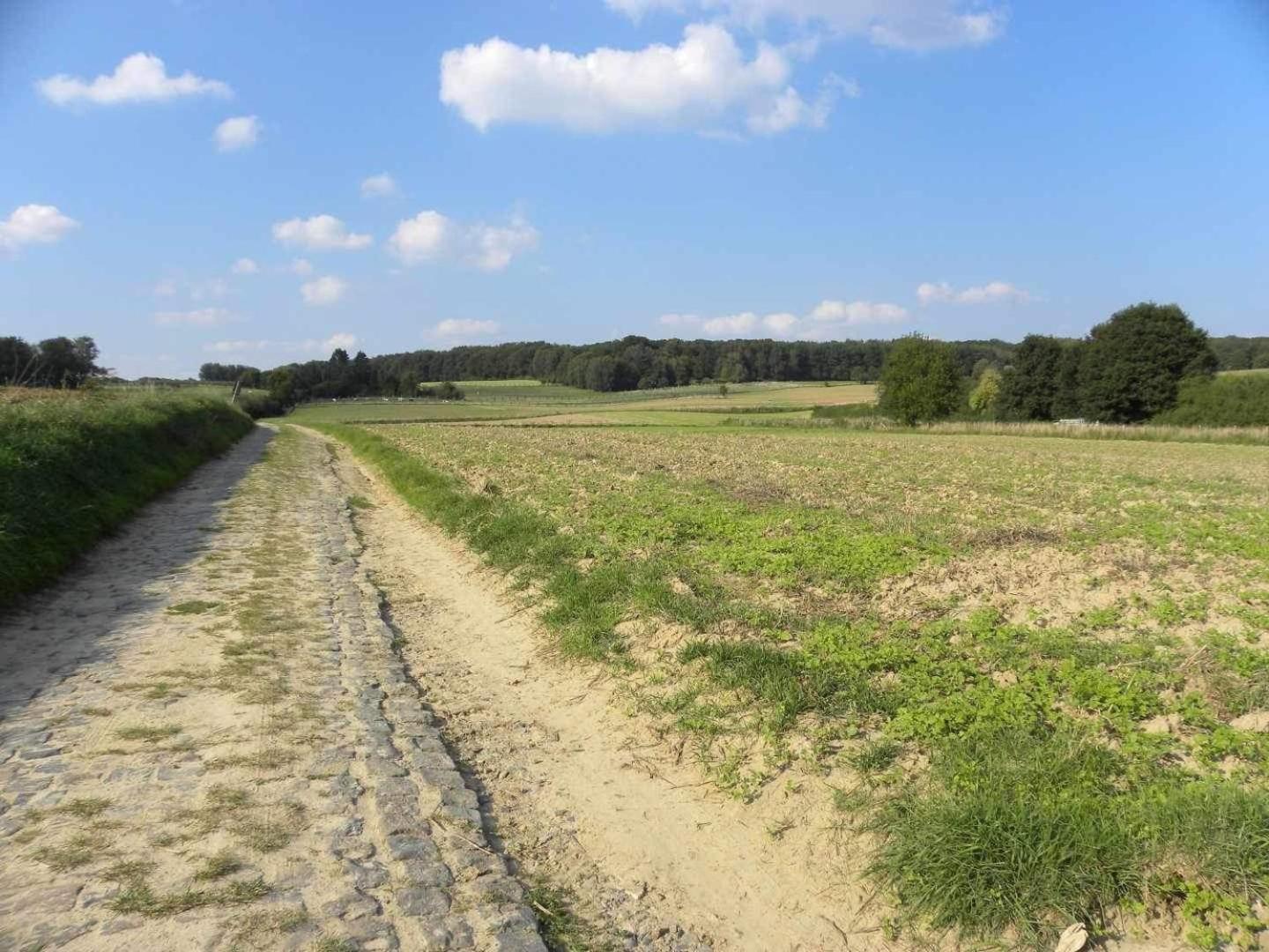 Meerbeek Unwind Kortenberg Exteriér fotografie